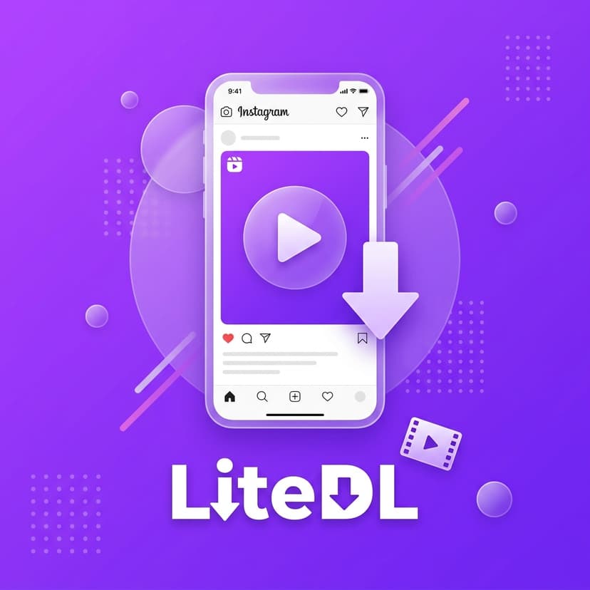 LiteDL Instagram downloader
