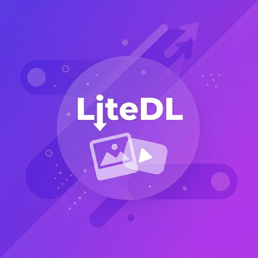 LiteDL Instagram downloader